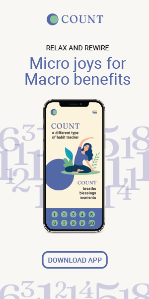 COUNT app 300x600 banner